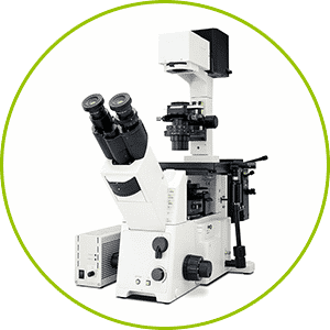 Microscope-optique-2
